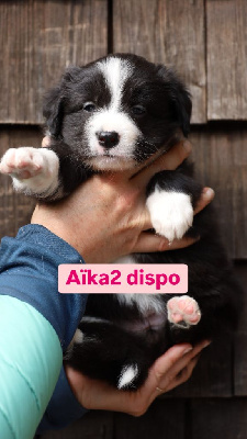 AÏKA